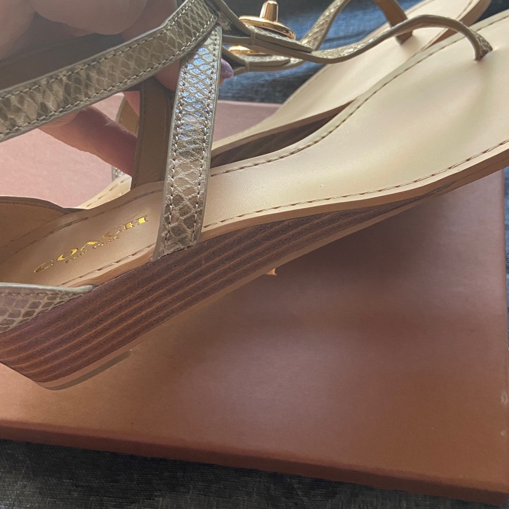 Coach Ingrid Snake Print Leather Thong Sandals size 7 or 8 NIB - Picture 3 of 3